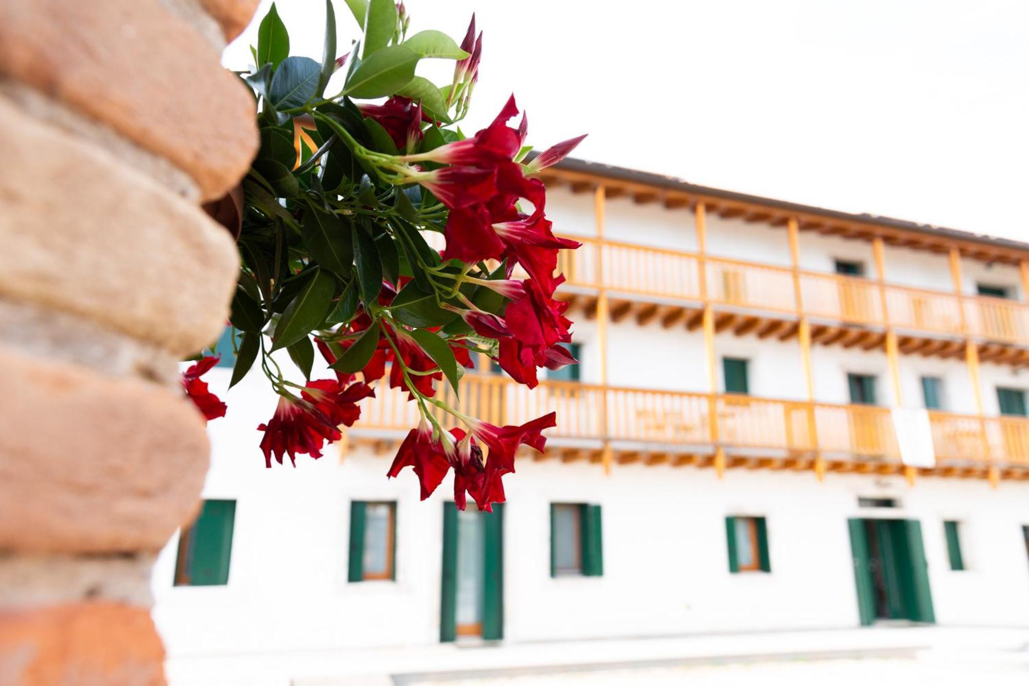 Albergo Diffuso Polcenigo C. Zoldan Eksteriør billede